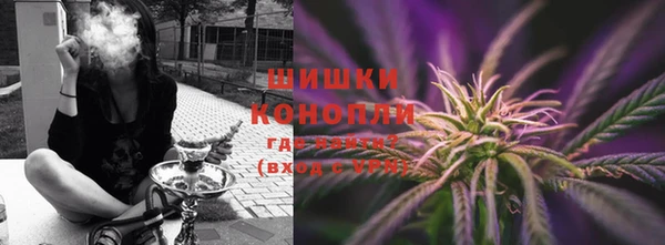 гашик Аркадак