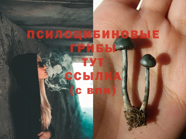 ПСИЛОЦИБИНОВЫЕ ГРИБЫ Армянск
