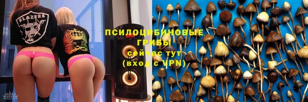 винт Баксан