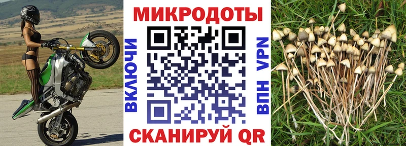 Купить  Углегорск  Псилоцибиновые грибы GOLDEN TEACHER 
